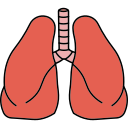 pulmones 