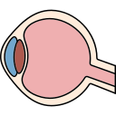 ojo icon