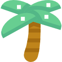 palmera icon