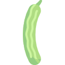 pepino icon