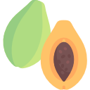 papaya icon