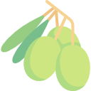 olivos icon