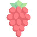 uvas icon