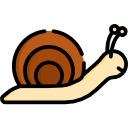 caracol