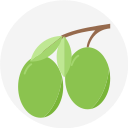 fruta icon