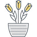 nature icon