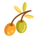 aceituna icon