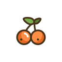 fruta icon