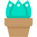 aloe vera icon