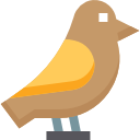 pájaro icon