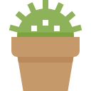 cactus icon