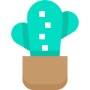 cactus icon