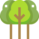 bosque icon