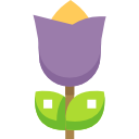 rosa icon