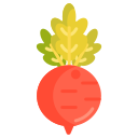 verduras icon