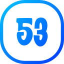 53