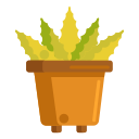 maceta icon