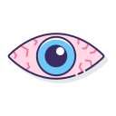 ojo icon