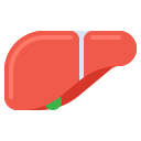 Печень icon