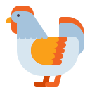 pollo icon