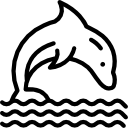 Дельфин 