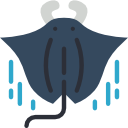 manta raya icon