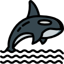 orca icon