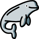 beluga icon