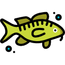 bacalao icon