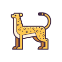 animal 