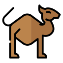 camello icon