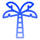 palmera icon