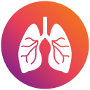 pulmones icon