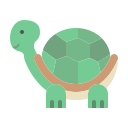 tortuga icon