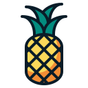 fruta icon