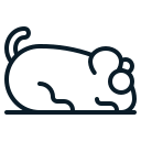 ratón icon