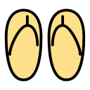 chanclas icon