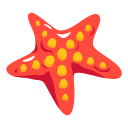 estrella de mar 