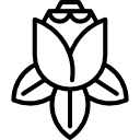 Роза icon