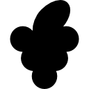 Виноград icon