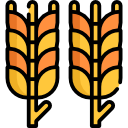 trigo icon