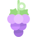 uvas icon