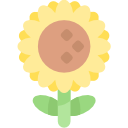 girasol icon