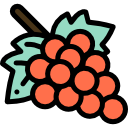 uvas icon