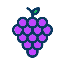 fruta icon