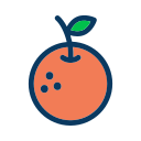 fruta icon