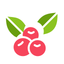 baga 
