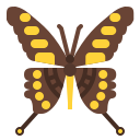 mariposa