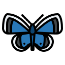 mariposa icon