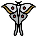 polilla luna icon